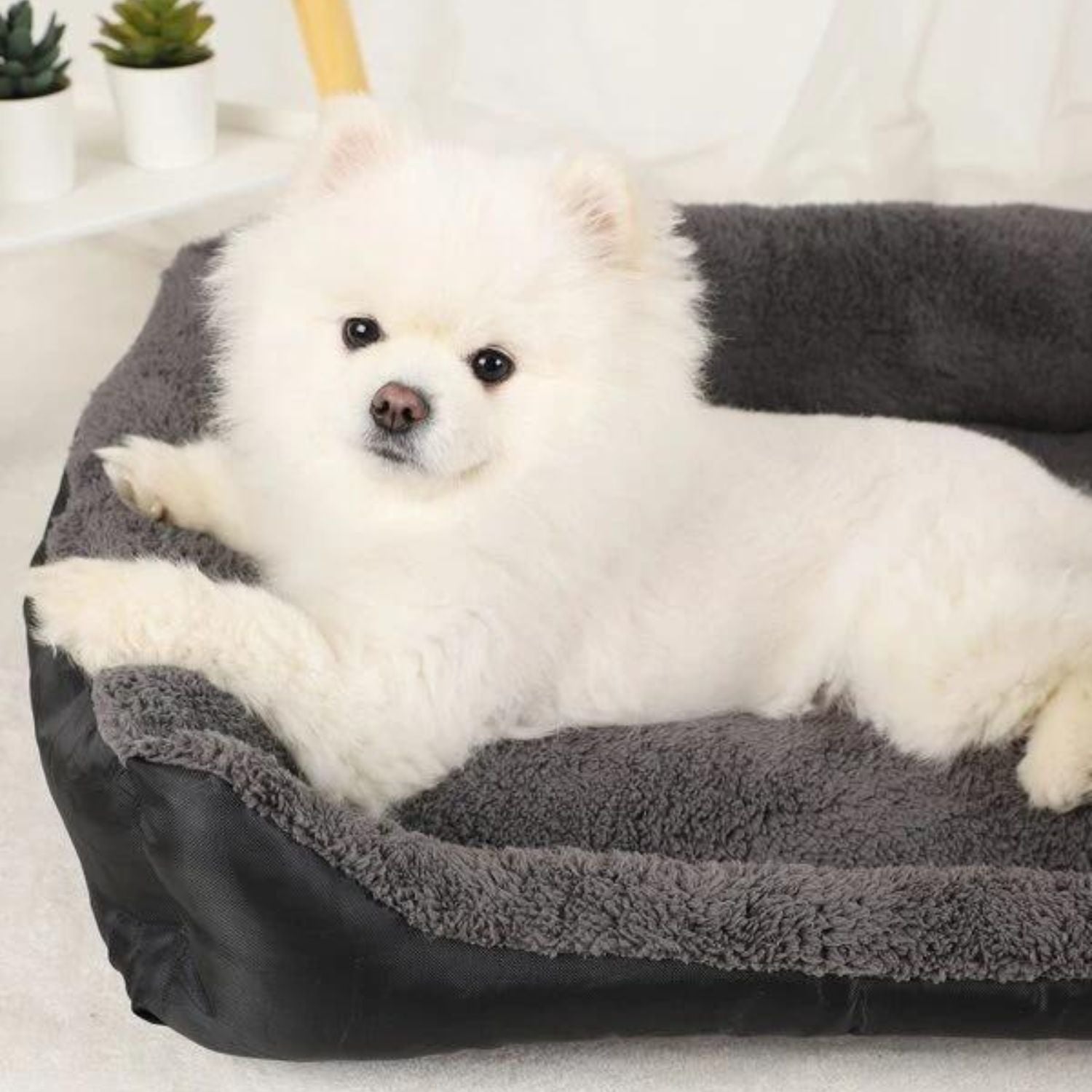 FLOOFI Pet Bed Square XL Size (Black+Dark Grey)