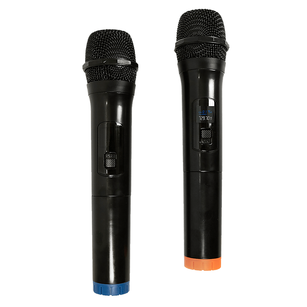 2 x Wireless Microphone Handheld Cordless Professional Mic Karaoke Receiver