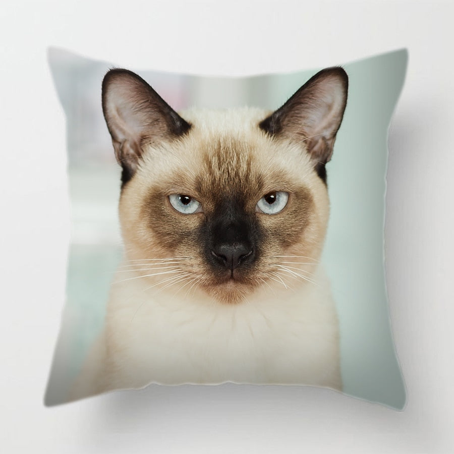 Cat Face Printed Decorative Cushion Cover 45X45CM (15)