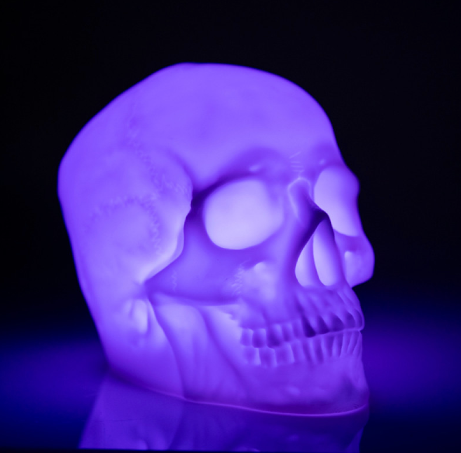 Light Up Skull Speaker