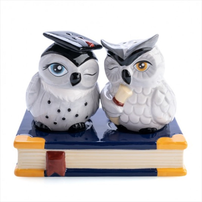 Owl Salt and Pepper Set