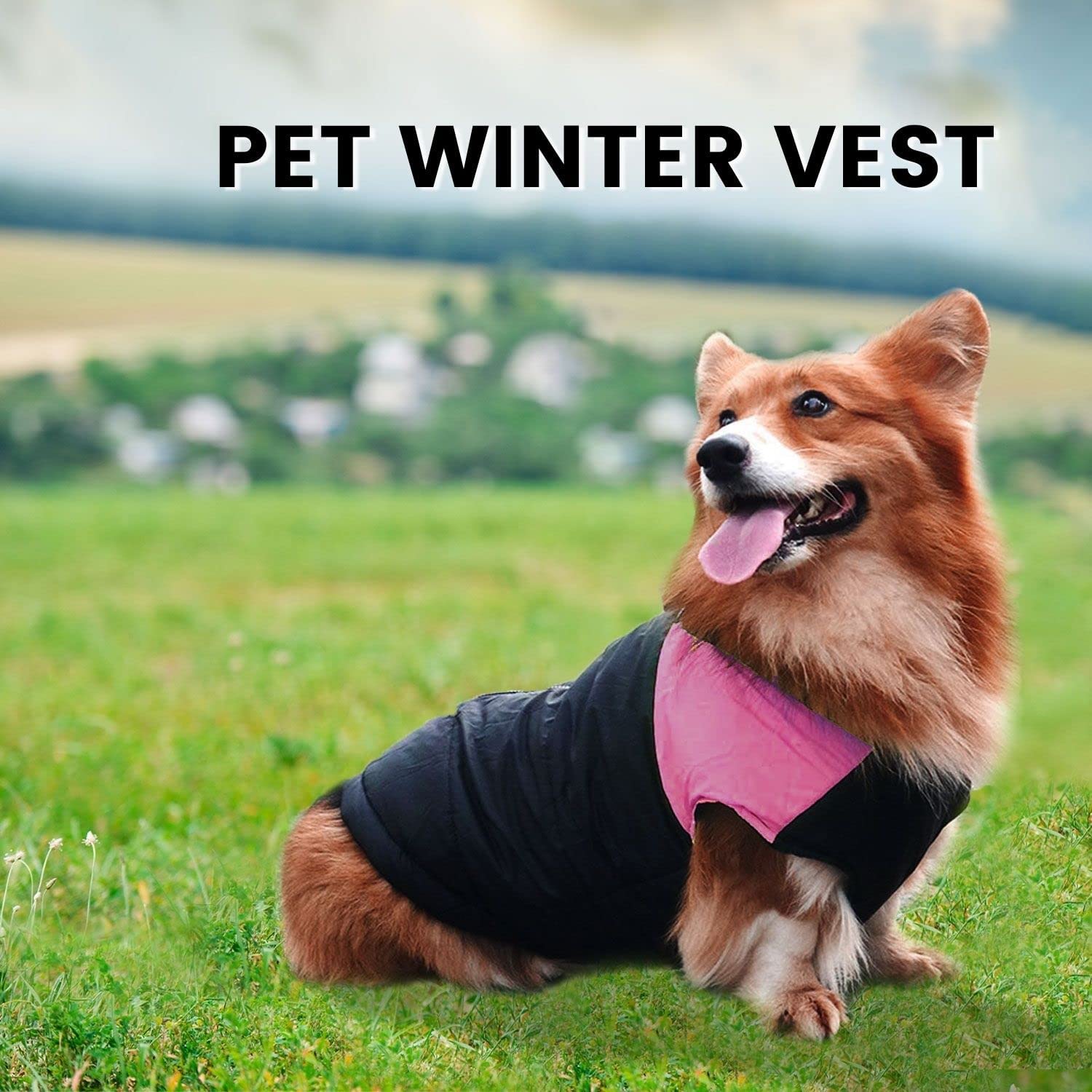 Floofi Pet Winter Vest (2XL Blue)